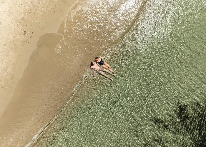 리조트 Neptune Luxury