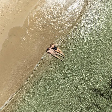 Complex Neptune Luxury