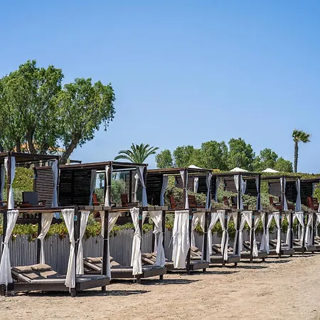 Complex Neptune Luxury